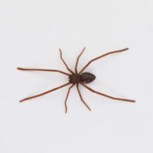 Two magnetic spider stickers on a refrigerator door
