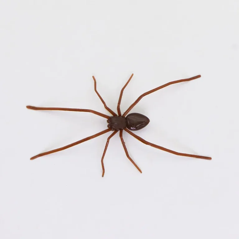 Magnetic Spider Refrigerator Stickers - 2 Pack