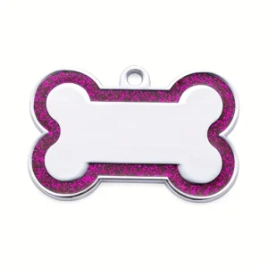 Personalized engraved alloy pet ID tag attached to a collar