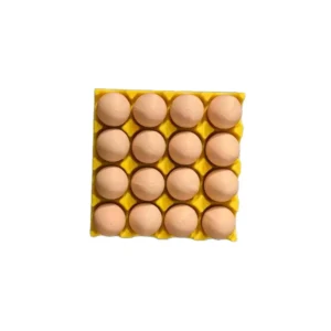 Egg-shaped magnetic photo and note holder attached to refrigerator door