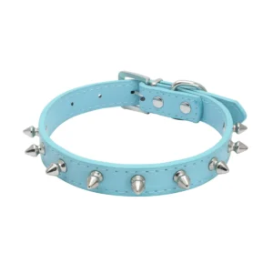 leather spiked collar on a white background