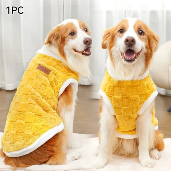 Large brown dog wearing a winter pullover sweater