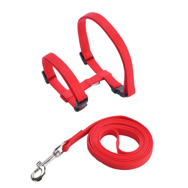 Adjustable nylon cat collar with attached bell on white background