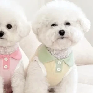 Small breed dog wearing a breathable soft fabric polo shirt