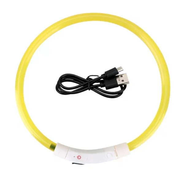 LED USB rechargeable dog collar glowing at night